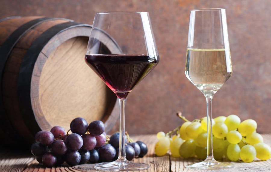 VINSKI VEČER – jubilejni 50. vinski večer